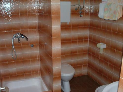 Apartments Runac