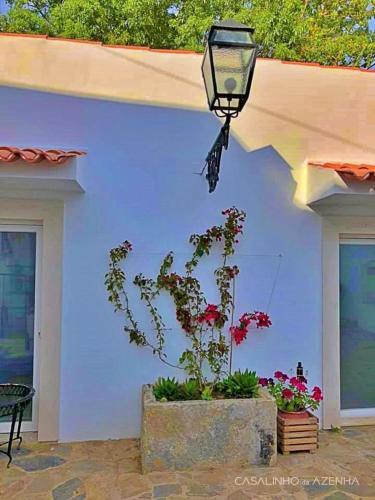 Bed & Breakfast Suite Strelitzia - Quinta Casalinho Da Azenha