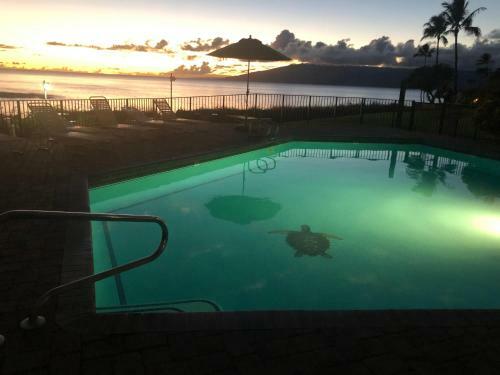 Apartamento Turtle Cove