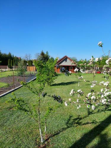 Domek Nad ?a?miadami