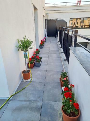 Apartamento Belquis