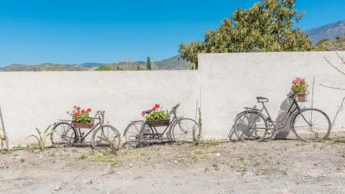Cortijo Ohana Motril By Ruralidays