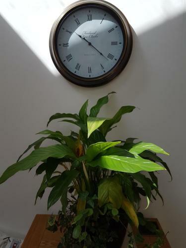 The Nook
