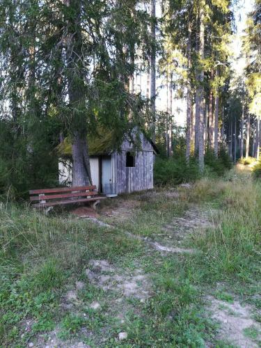 Apartamento Ferienwohnung Hasenfratz