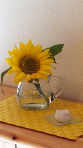 Apartamento Ferienwohnung Hasenfratz