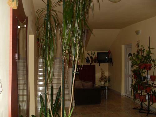 Hostal Pensiunea Beverly Hills