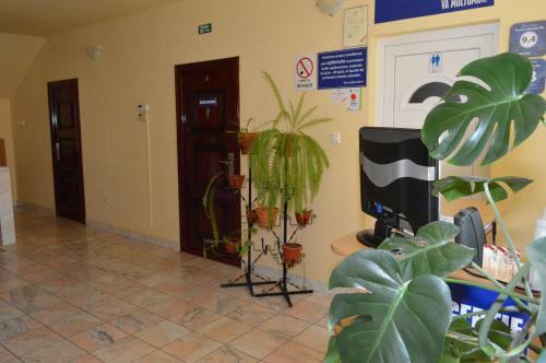 Hostal Pensiunea Beverly Hills