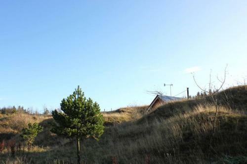 Secluded Off-grid Cabin In Easy Reach Of Edinburgh