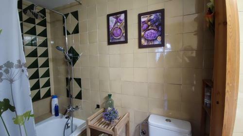 Apartamento El Niuet -acollidor �tic-d�plex C�ntric Amb Vistes