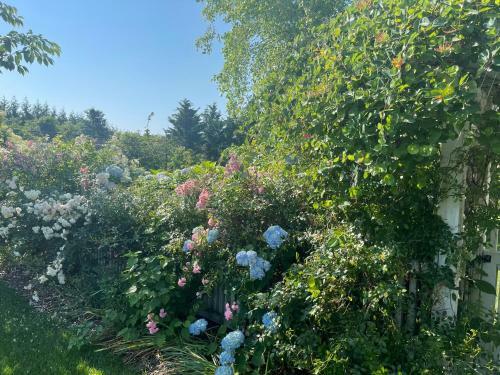 Windmill Lane Manor