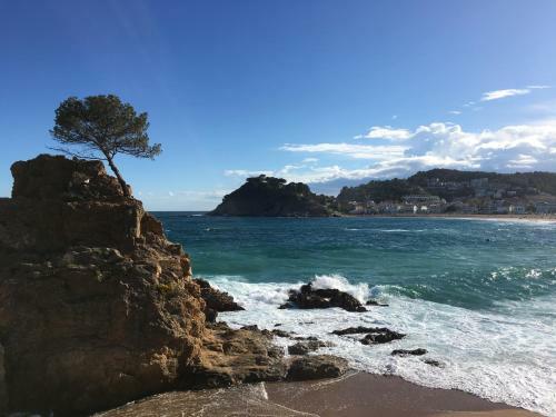 Apartamento Nice Flat 3 Mins From The Beach.