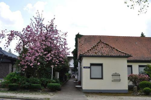 Apartamento Ferienwohnung S�dpark