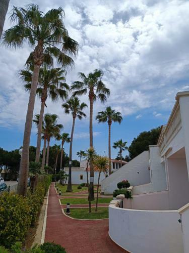 Bon Repos - B10, Apartamento Con Terraza En Cala'n Bosch