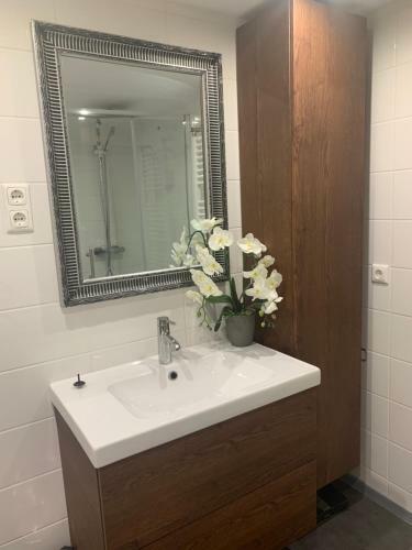 Apartamento Boulevard Ferienwohnung