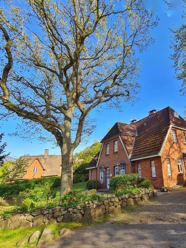 Apartamento Schwalbennest - A67824