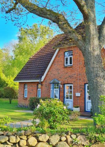 Apartamento Schwalbennest - A67824