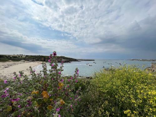 Ty Dolmen By P�m, Maison de Charme � 10mn de La Plage