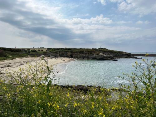 Ty Dolmen By P�m, Maison de Charme � 10mn de La Plage
