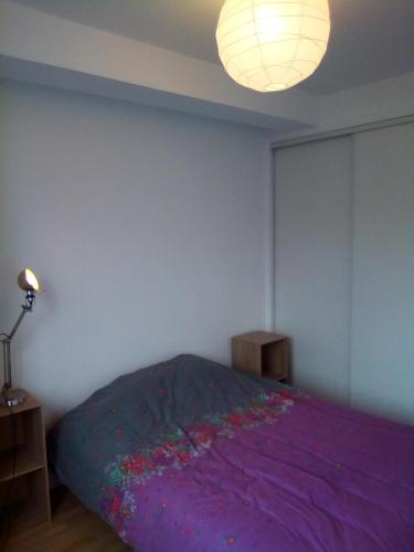 Apartamento Trefilerie Universite Faculte Jean Monnet Auchan Centre 2