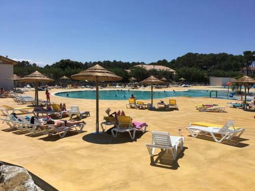 Le Bergamotier - Saint-julien-en-born - Mimizan