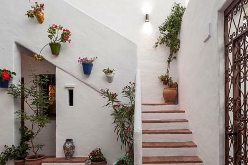 Hostal Y Apartamentos En El Centro La J�bega By Conil Home