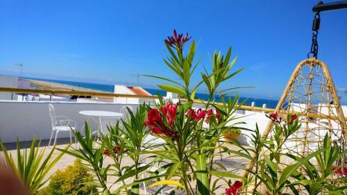 Hostal Y Apartamentos En El Centro La J�bega By Conil Home