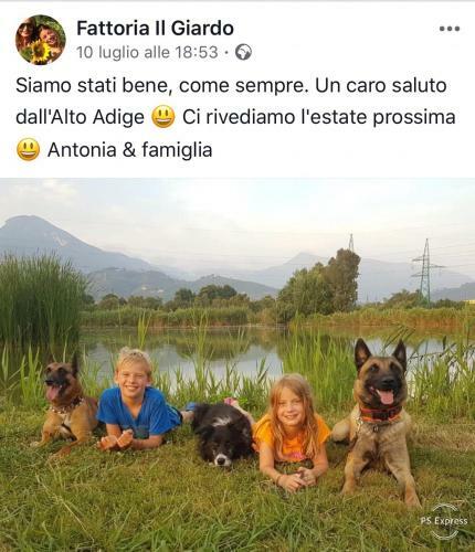 Apartamento Fattoria Il Giardo