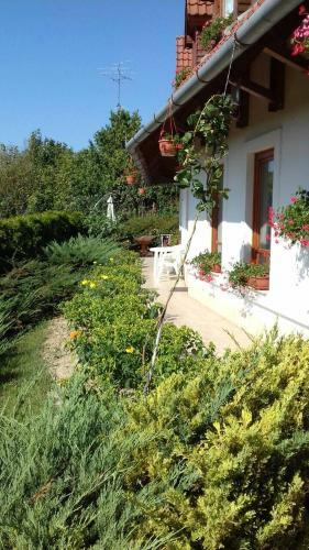 Palatinus Apartmanok