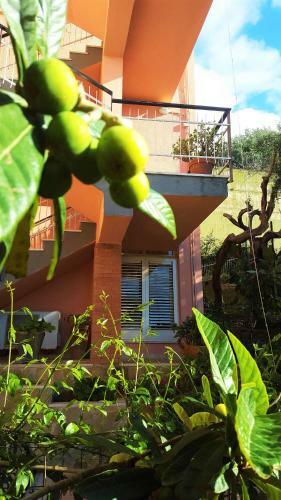 Bed & Breakfast Delle Rose