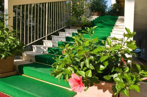 Hotel Donatello