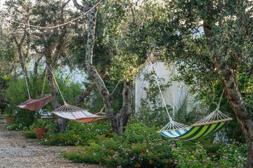 Panacea Residence B&B