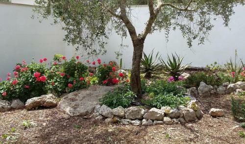 Panacea Residence B&B