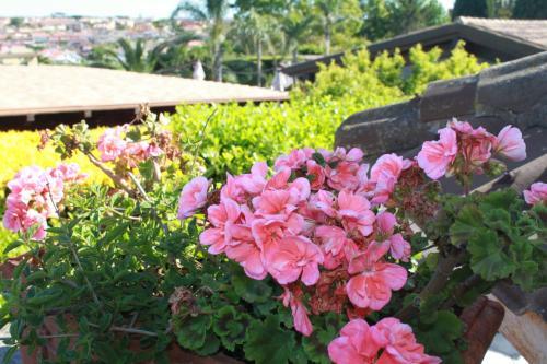 Bed & Breakfast Villa Francesca