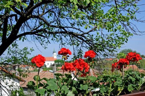 Posada R�kusfalvy Fogad�