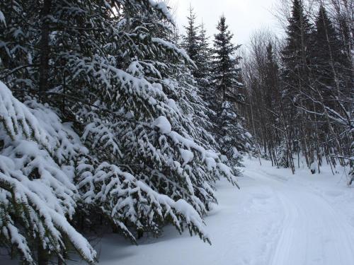Club De Chasse Et P�che Tadoussac