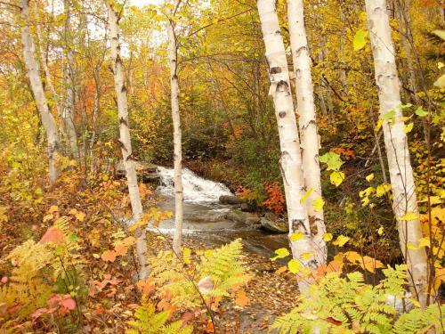 Club De Chasse Et P�che Tadoussac