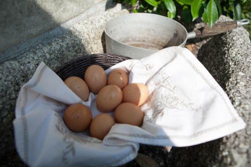 B&B I Corni Di Nibbio