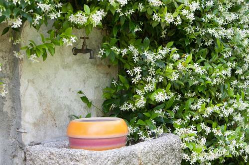 B&B I Corni Di Nibbio