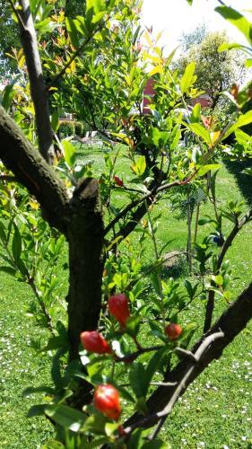Hostal La Casa Di Linda