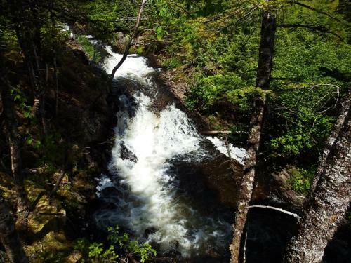 The Wilds At Salmonier River