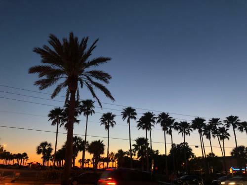 238 Surf Song Resort