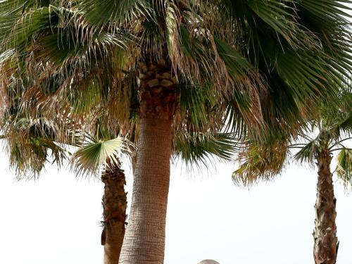 Apartamento La Gaviota En Playa de Fuengirola
