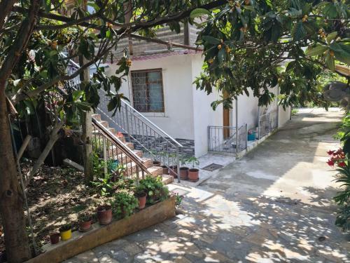 Apartamento D�j� Blue Guest House