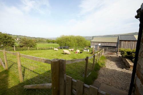 Host & Stay - Poppy Cottage & Rose Cottage
