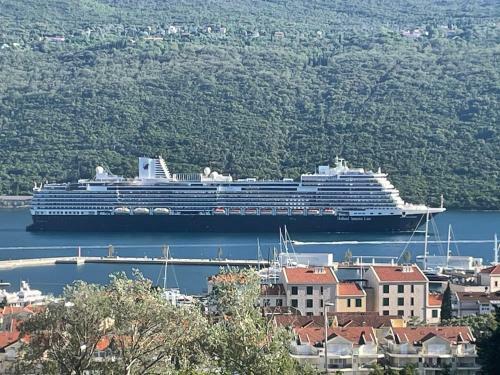Apartman Djenovici Pored Portonovog
