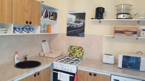 Pavlova Apartment