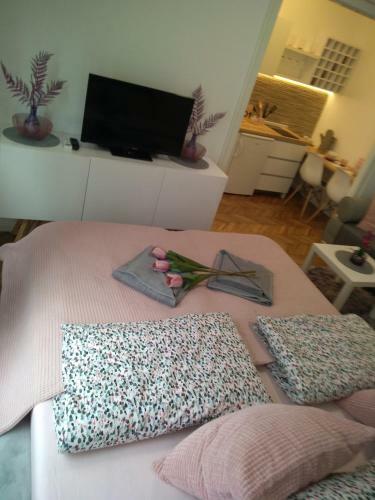Apartamento Zebra