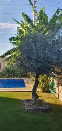 Villa Harnup