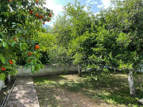 Portakal Bah�esi ?�erisinde M�stakil Villa