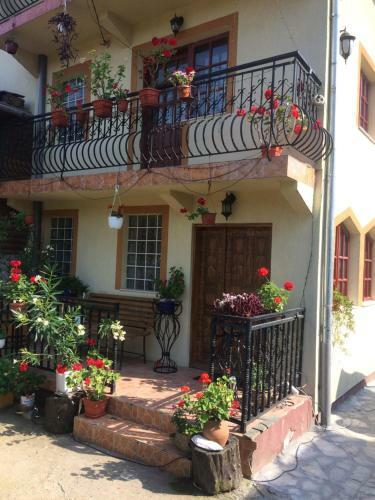 Hostal Pensiunea Casa Eliza Maria